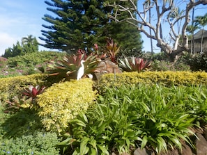 Entrance to Kaha Lani.
WELCOME!

