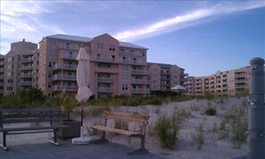 View from Private Beach, the main pool is on other side of the dunes.