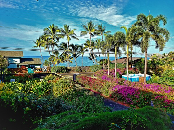 Amazing Ocean Front View, Wake up to the sounds of the Ocean and Birds.