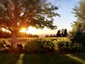 Sunsets AtTheJoy