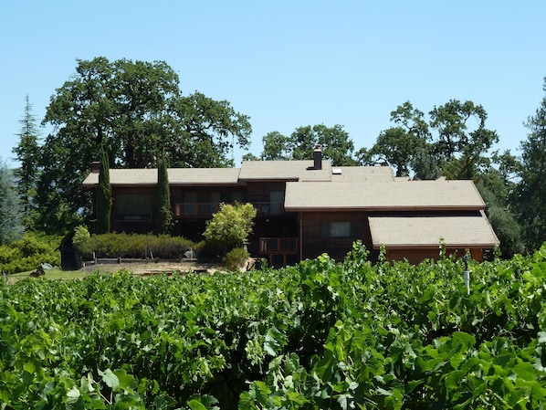 House from west side of property