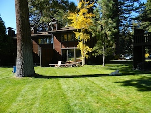 Meadow area outside patio.