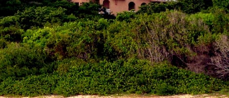 Villa from the water with secluded beach