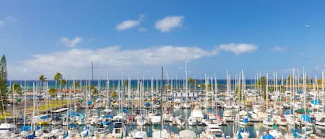 Your panoramic ocean and marina-front view from the Pink Plumeria.