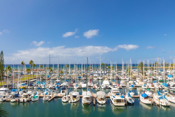 Your panoramic ocean and marina-front view from the Pink Plumeria.