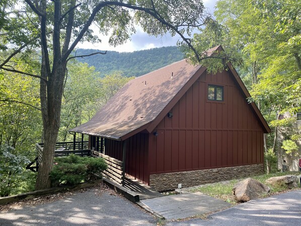 Main Image