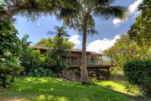 Nestled in Tropical Landscaping for Cooling Shade