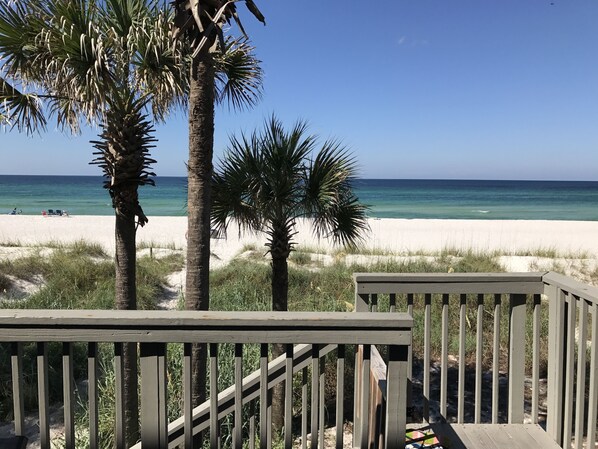 Your View!