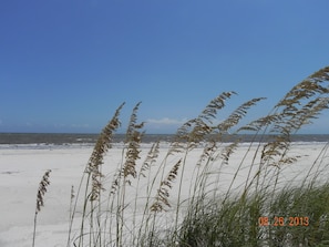 The beach dunes at Dunes Club