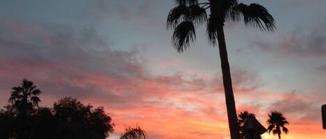 Sunset from the patio