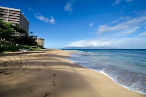 Beach Next Door