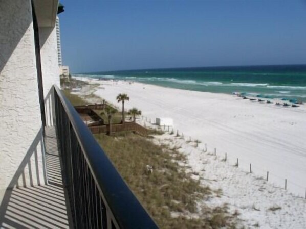 View from Balcony
