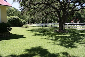 North side of yard