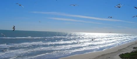 View of the Gulf from #704 Balcony