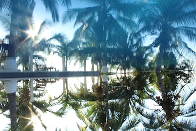 Casa de lujo frente al mar - Piscina infinita enorme