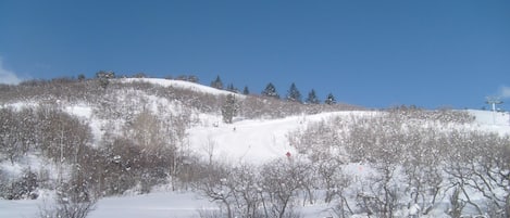 Esportes de neve e esqui