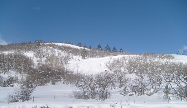 Snow and ski sports