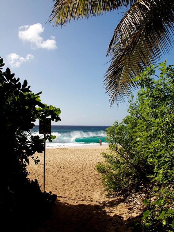 Beach