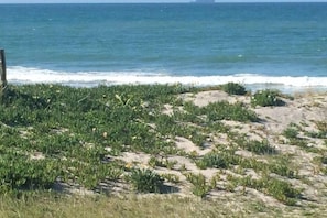 Ocean views out to Plate Island