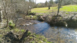 It's time to play in the creek at your back door. Quartz crystals abound. Gold?