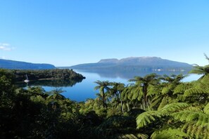 View from deck