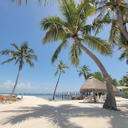 Beach area