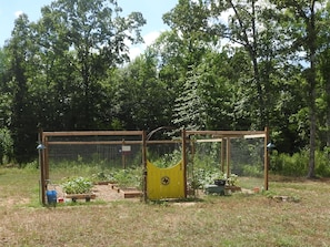 Small kitchen garden.