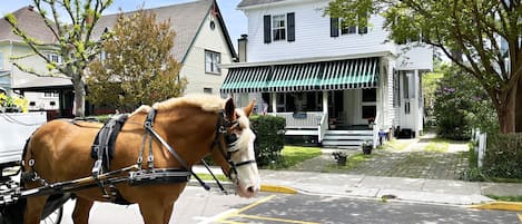 Horse & carriage tours clip clop up historic Hughes Street every day.