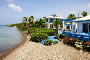 Steps away from swimming/snorkeling