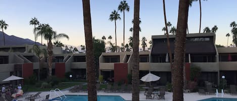 View from patio - back door has steps leading down directly to the pool