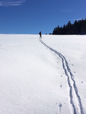 Sneeuw- en skisporten