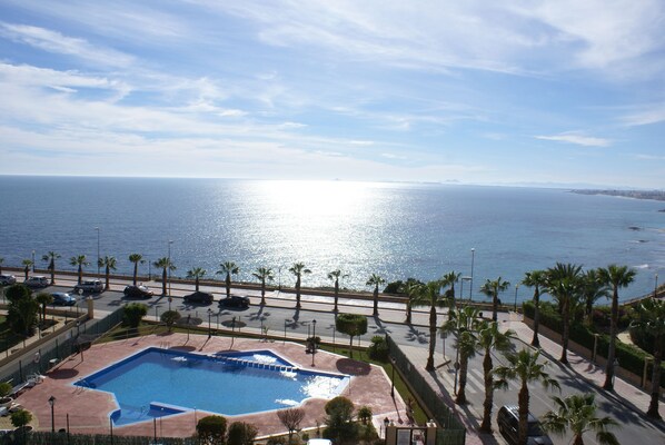 picture swimming pool from comm. roof solarium