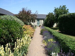 Courtyard Garden