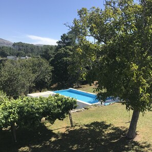 Patio - view from main house