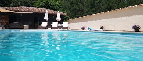 the pool and new wall - perfect sun trap