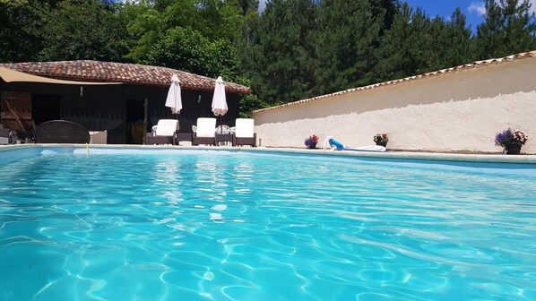 the pool and new wall - perfect sun trap