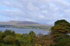 View from Patio and most windows of Dunmanus Bay