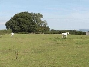Farm walks from your doorstep
