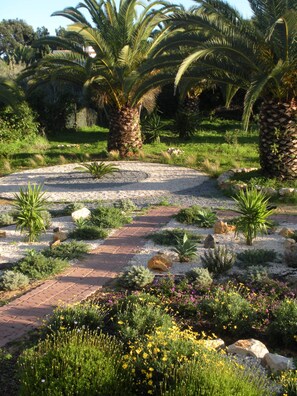 Garden view from terrace