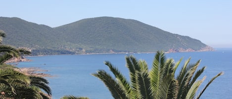 Le côté sud du golfe de Lava, vu de la maison