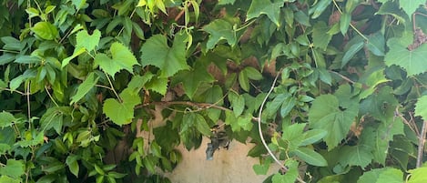 Außendetails