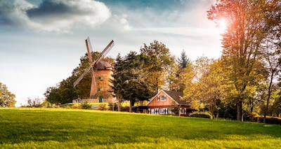 Gemütliches Ferien- und Galeriehaus / familienfreundlich / Haustiere erlaubt