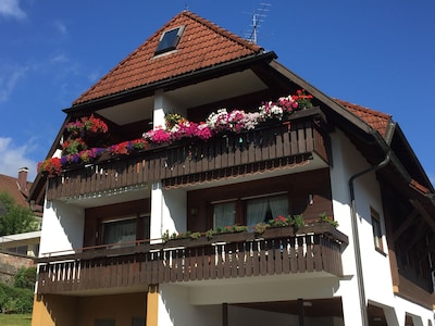 Lenzkirch - very cozy apartment - south-facing balcony - centrally in a quiet side street