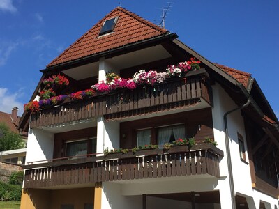 Lenzkirch - very cozy apartment - south-facing balcony - centrally in a quiet side street