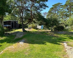 Large natural garden