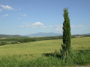 Blick auf den Monte Amiata