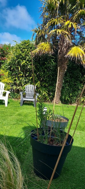 terrasse ouest