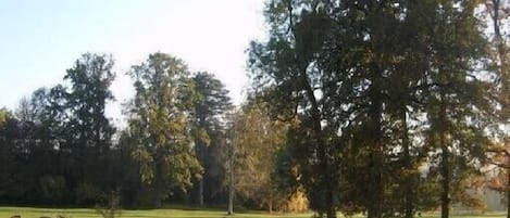 vue du parc à partir du gîte