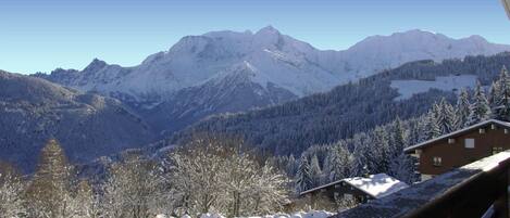 Vue sur le Mont-Blanc