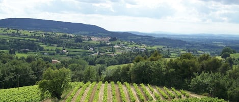 Vue de la propriété viticole